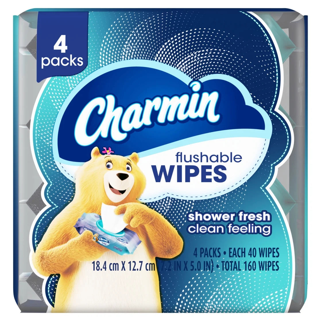 Flushable Wet Wipes, 4 Packs, 40 Wipes per Pack, 160 Total Wipes