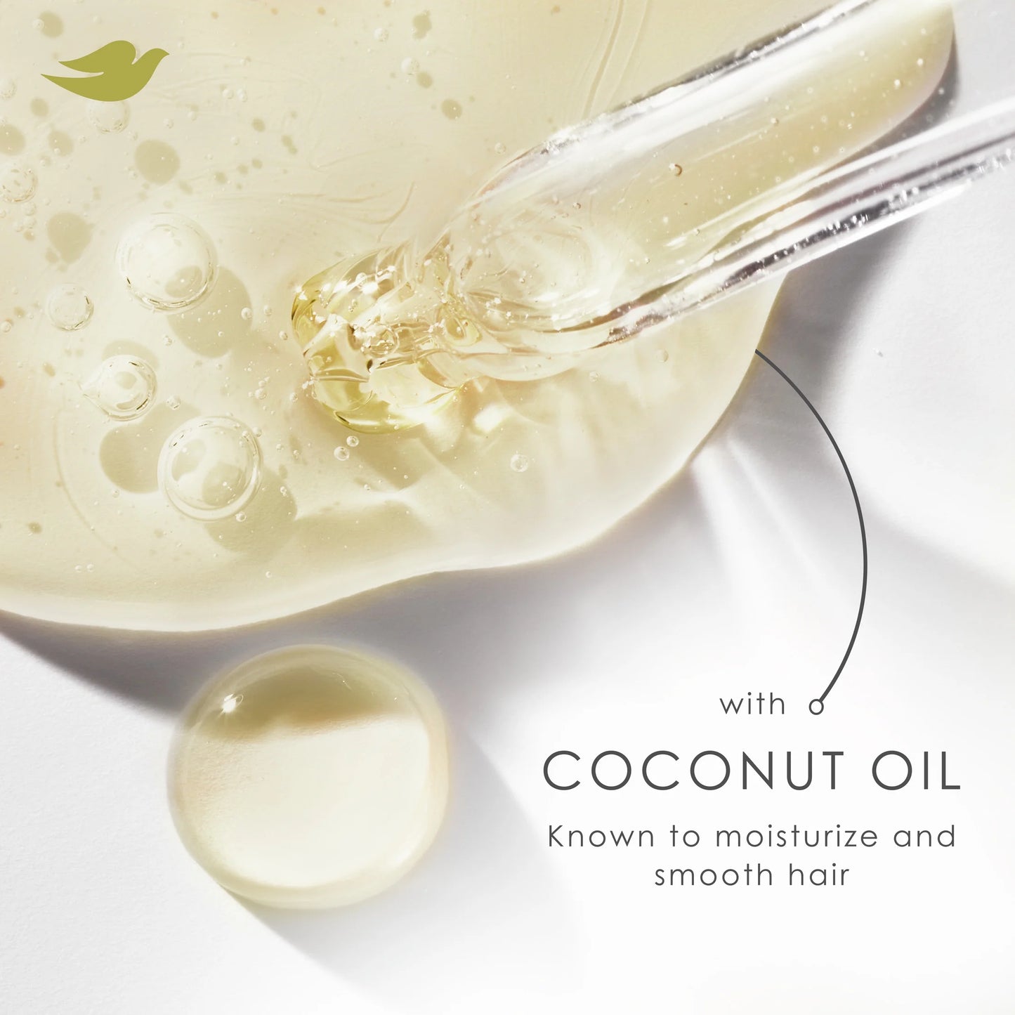 Damage Therapy Derma Anti-Dandruff Shampoo for Flaky Scalp Dryness + Itch with Pyrithione Zinc & Coconut Oil, 12 Oz