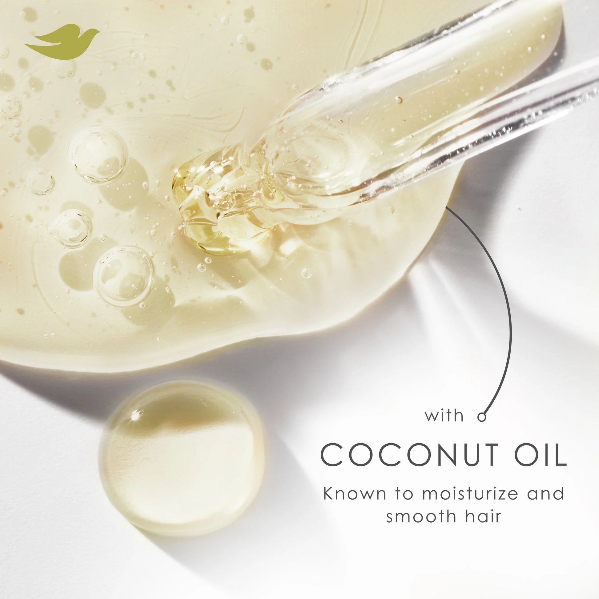 Damage Therapy Derma Anti-Dandruff Shampoo for Flaky Scalp Dryness + Itch with Pyrithione Zinc & Coconut Oil, 12 Oz