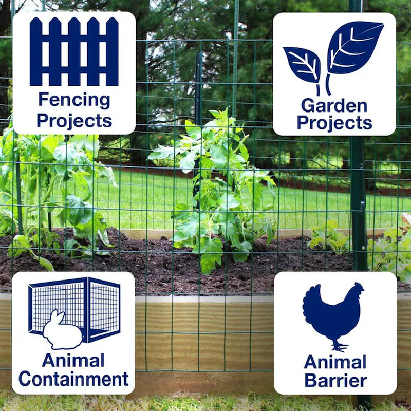 50-Ft X 2-Ft Green PVC Coated Steel Welded Wire Rolled Fencing 2-In X 3-In - Mesh Size