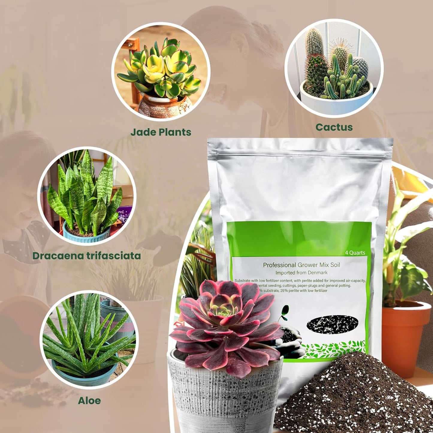Succulent Cactus Potting Soil Mix (4 Qt), All-Purpose Garden Potting Mix for Ind