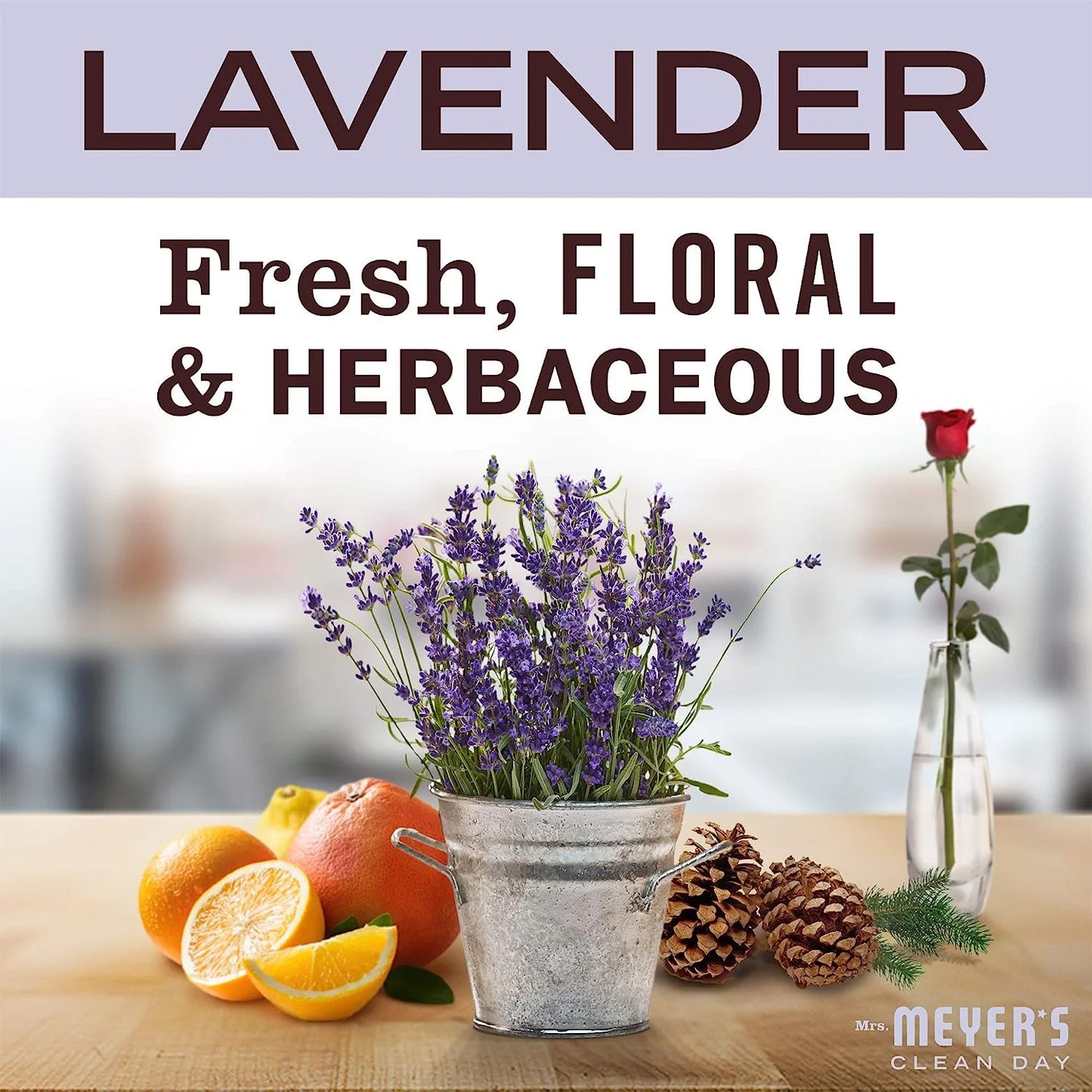 Mrs. Meyers Clean Day Liquid Dish Soap Refill Floral & Fresh Scents Set, Lavender, Lemon Verbena, 48 Fl Oz Each, 2 CT (Variety Pack)
