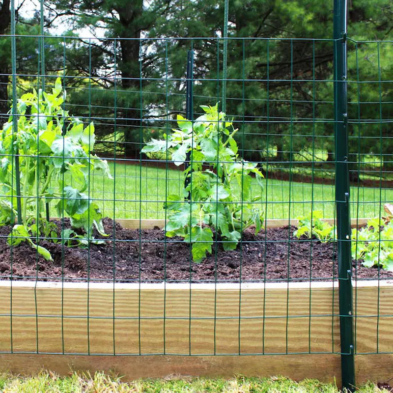 50-Ft X 2-Ft Green PVC Coated Steel Welded Wire Rolled Fencing 2-In X 3-In - Mesh Size