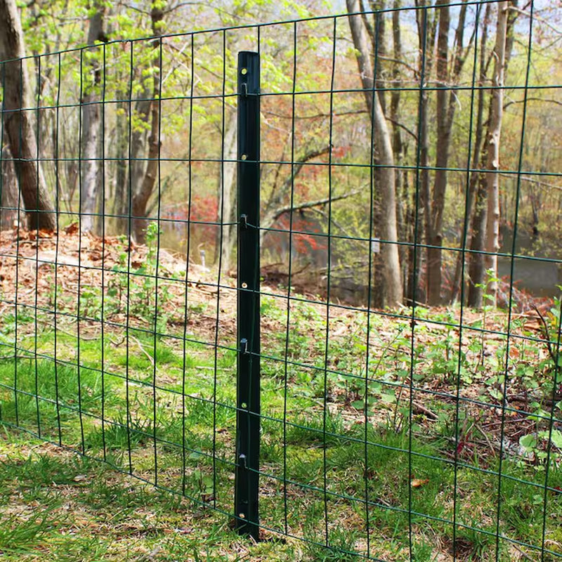 50-Ft X 2-Ft Green PVC Coated Steel Welded Wire Rolled Fencing 2-In X 3-In - Mesh Size