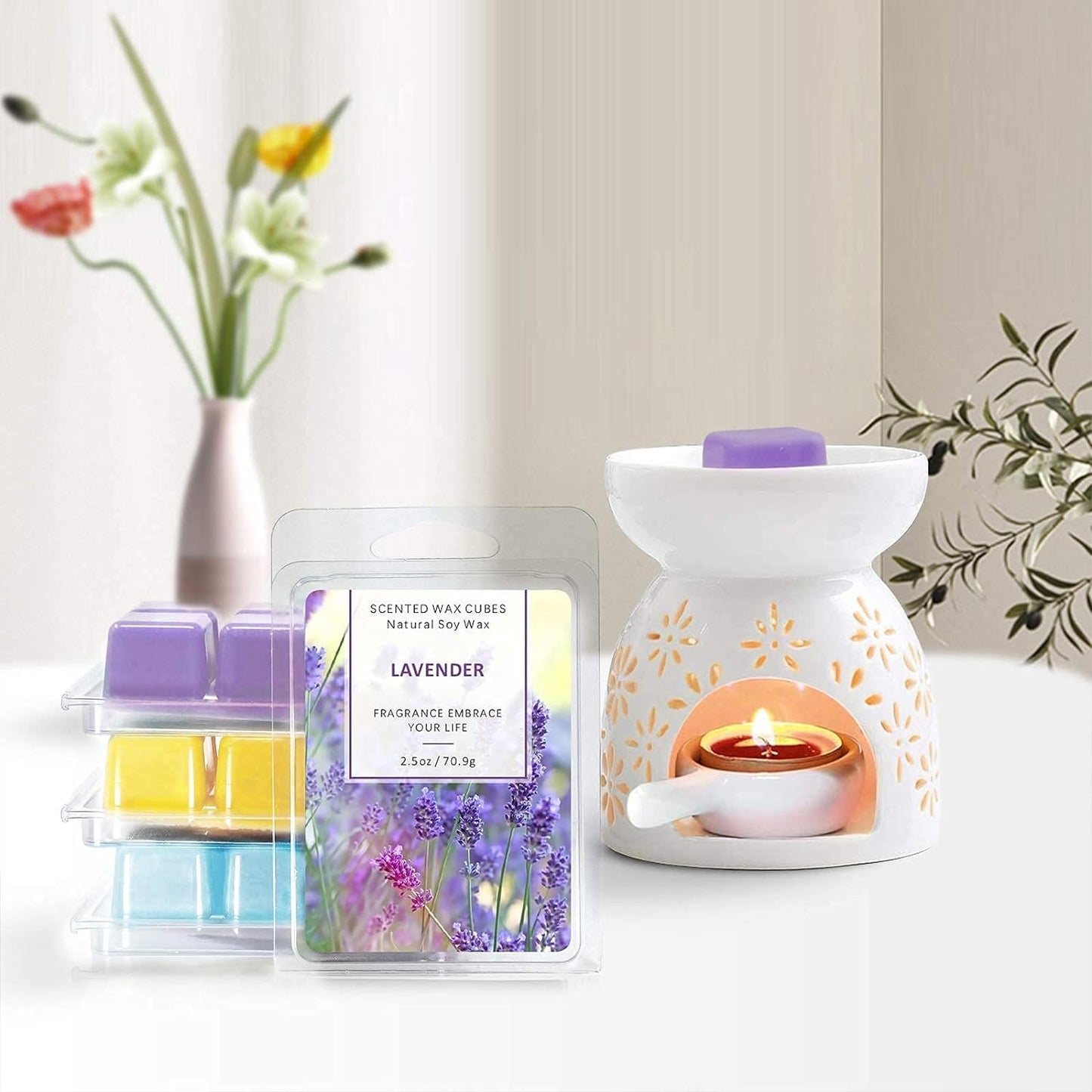 Wax Melts Cubes, Scented Wax Melts Gift Set for Warmer