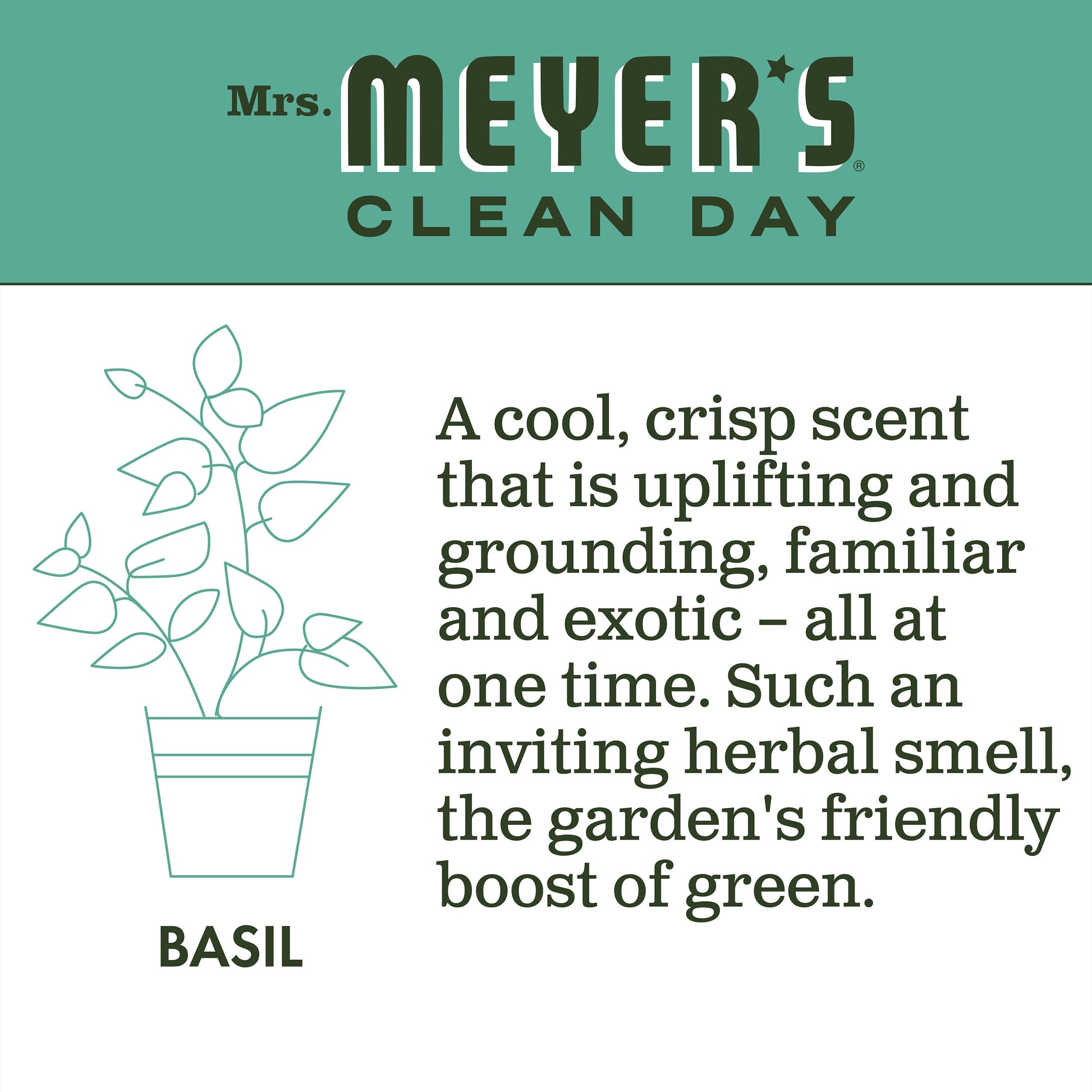 Mrs. Meyer’S Clean Day Liquid Dish Soap, Basil, 16 Ounce Bottle (Pack of 3)