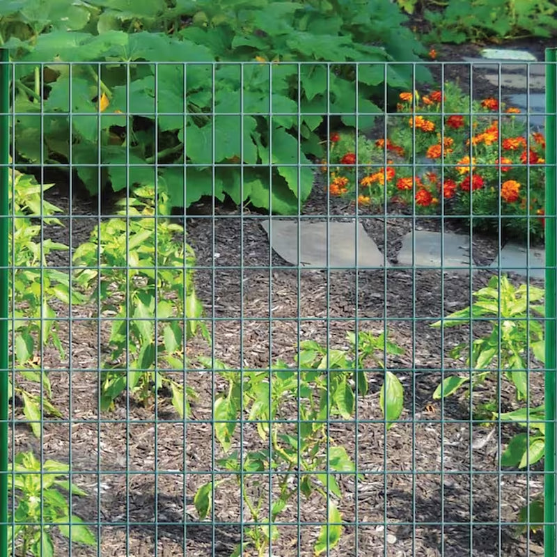 50-Ft X 2-Ft Green PVC Coated Steel Welded Wire Rolled Fencing 2-In X 3-In - Mesh Size