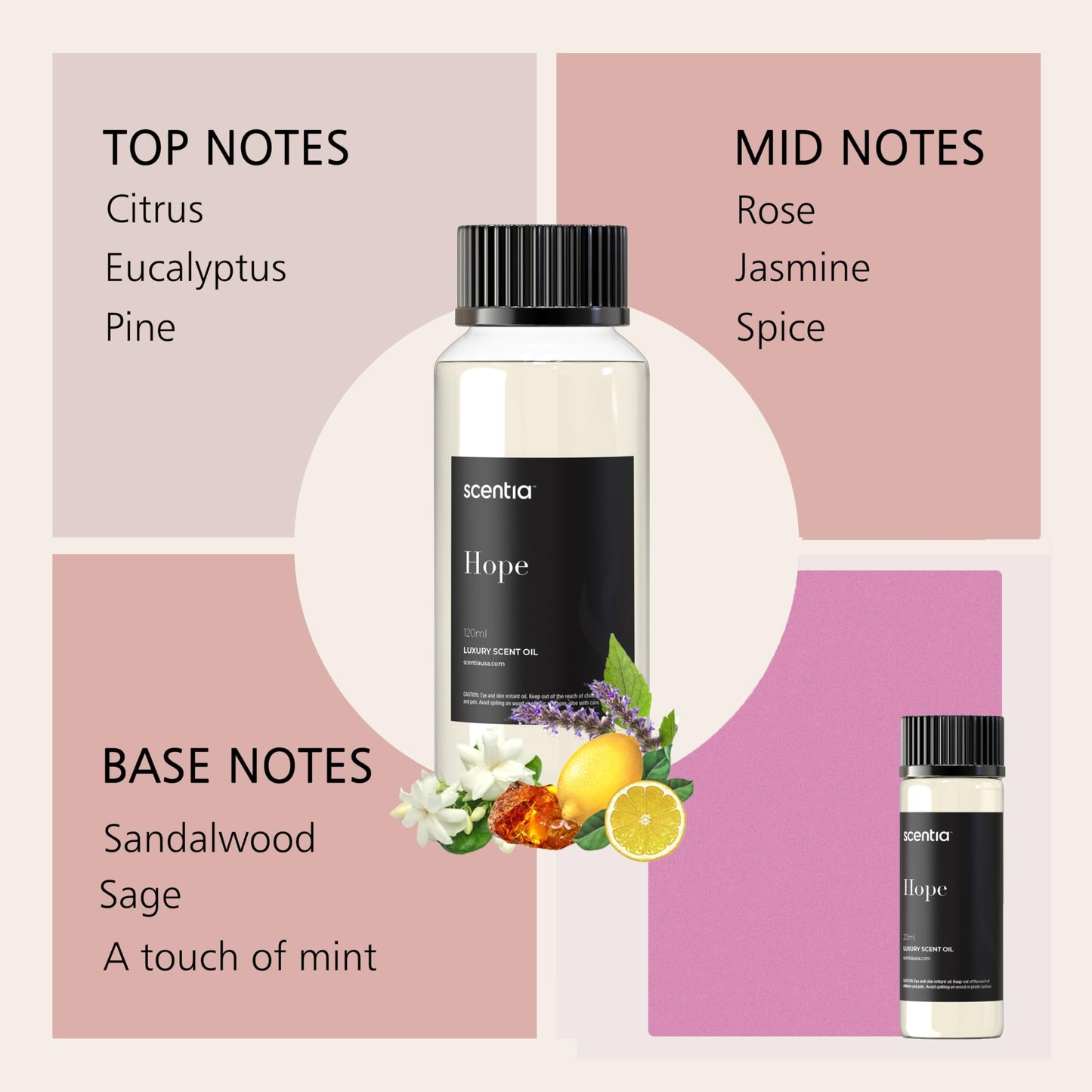 Perfume Collection Diffuser Oils 20 ML – Designer Perfume Inspired Diffuser Oils – Diffuser Oil Blend for Aromatherapy - Gift Set Pack of 3 X 20Ml Bottles