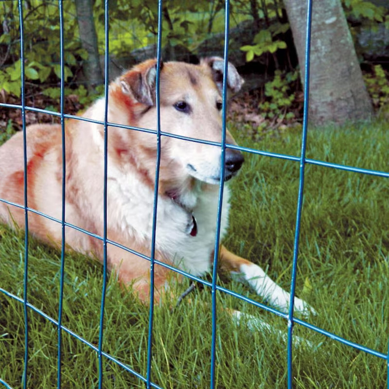 50-Ft X 2-Ft Green PVC Coated Steel Welded Wire Rolled Fencing 2-In X 3-In - Mesh Size