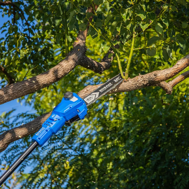 Gen4 40-Volt 10-In 2.0 Ah Battery Pole Saw Battery Included , Charger Included
