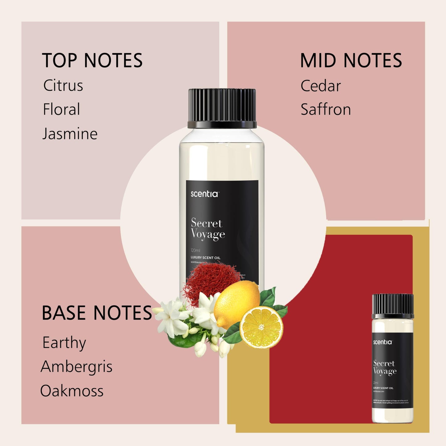 Perfume Collection Diffuser Oils 20 ML – Designer Perfume Inspired Diffuser Oils – Diffuser Oil Blend for Aromatherapy - Gift Set Pack of 3 X 20Ml Bottles