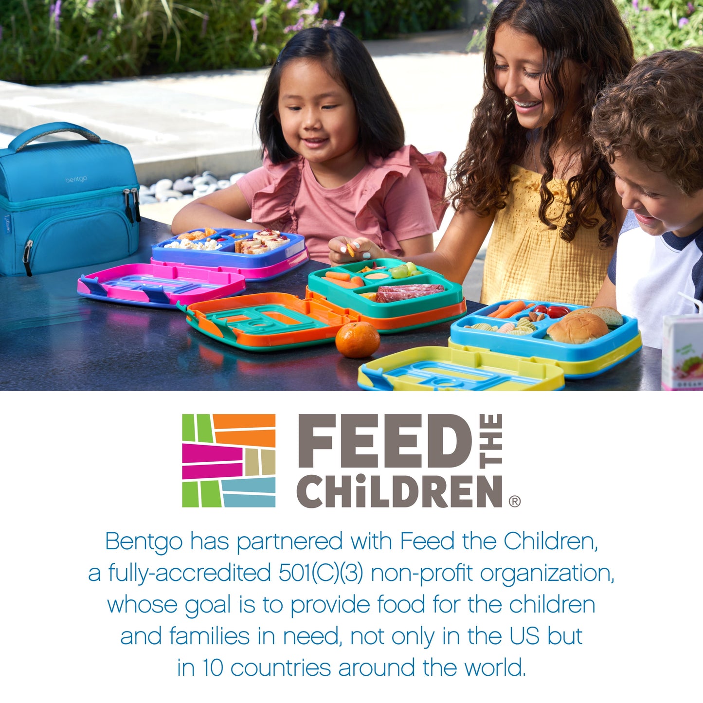 Deluxe Lunch Bag - Durable and Insulated Lunch Tote with Zippered Outer Pocket, Internal Mesh Pocket, Padded & Adjustable Straps, & 2-Way Zippers - Fits Most  Lunch Boxes (Slate)