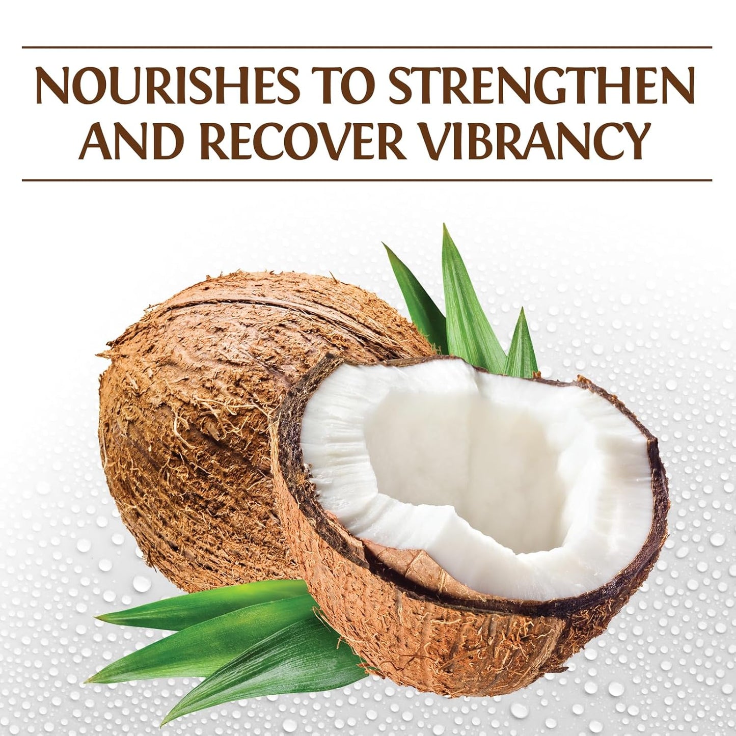 Silk Therapy with Natural Coconut Oil Moisturizing Conditioner, Nourishing & Helps Eliminate Frizz, Sulfate, Paraben & Cruelty-Free, 12 Oz