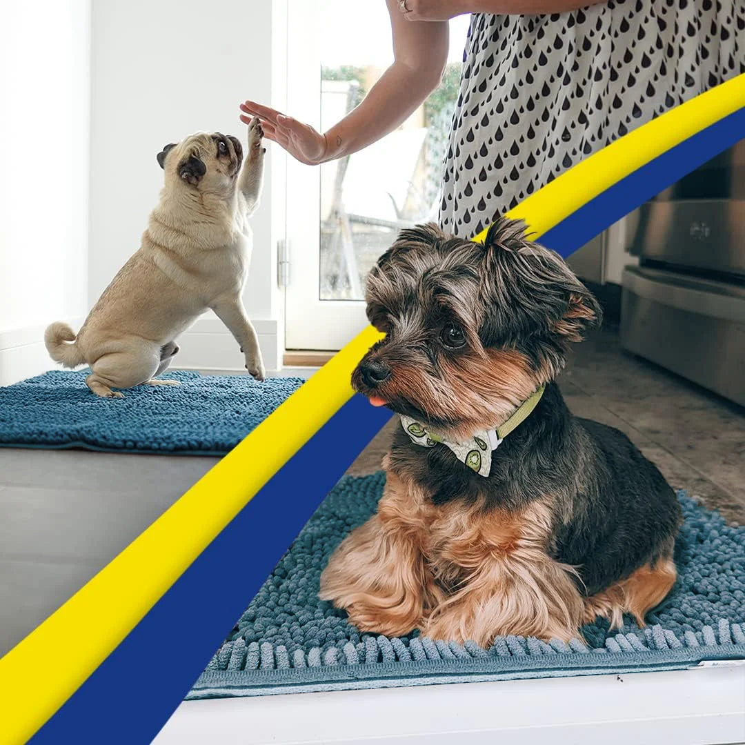 ® AS-SEEN-ON-TV Highly Absorbent Microfiber Door Mat and Pet Rug, Non Slip Thick Washable Area and Bath Mat Soft Chenille for Kitchen Bedroom Indoor and Outdoor - Atlantic Blue XL 59"X35"