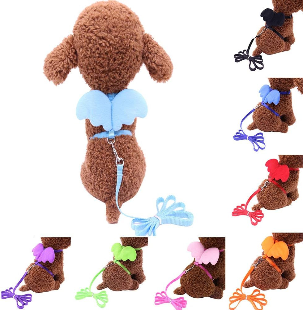 Cute Mini Wings Adjustable Pet Harness Puppy Dog Cat Chest Strap Nylon Lead Leash