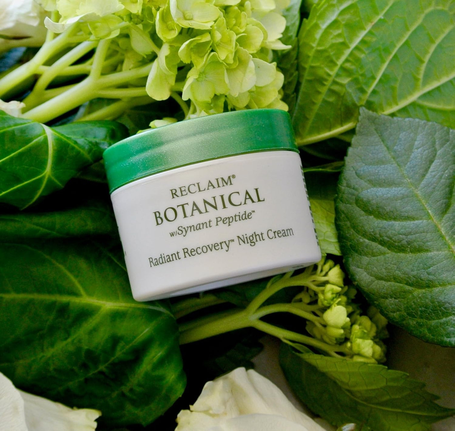– Reclaim BOTANICAL – Radiant Recovery Night Cream – 1 Oz