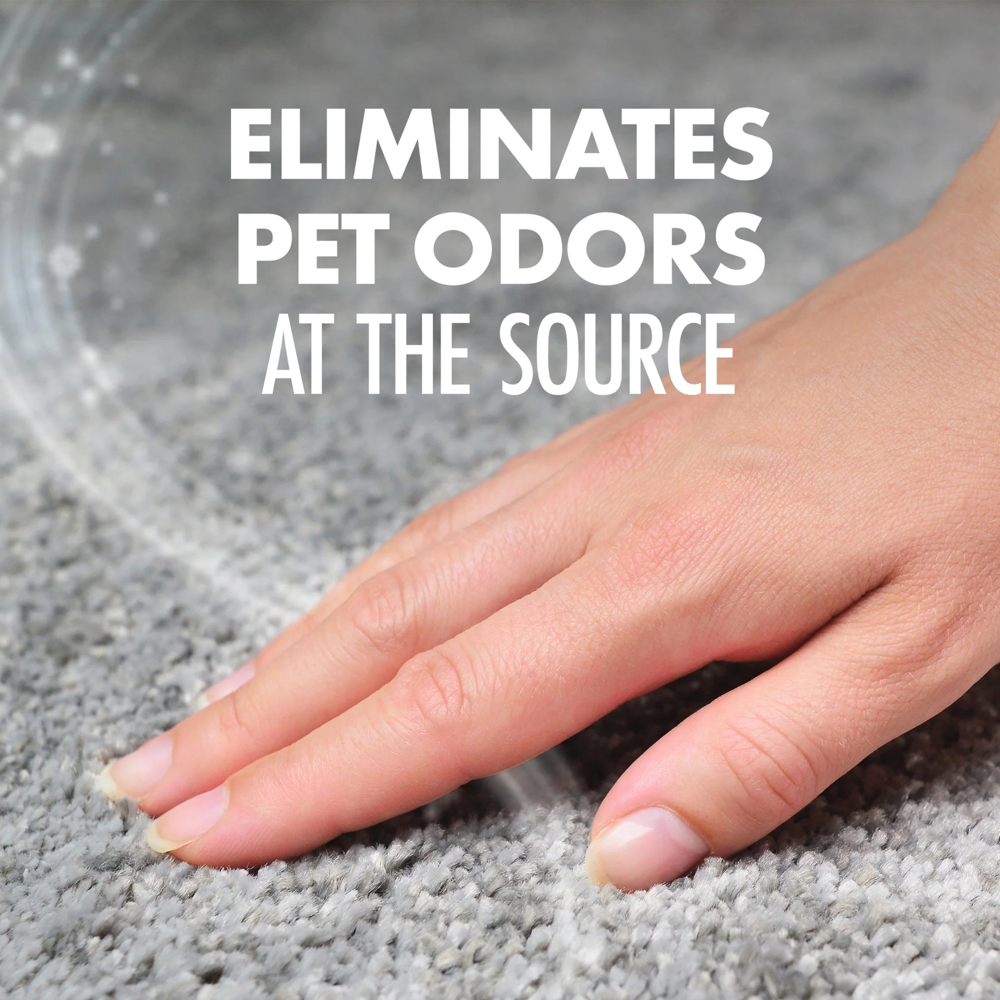 Pet Fresh Carpet Odor Eliminator, for Homes with Dogs and Cats, Fresh Scent, 42.6 Oz