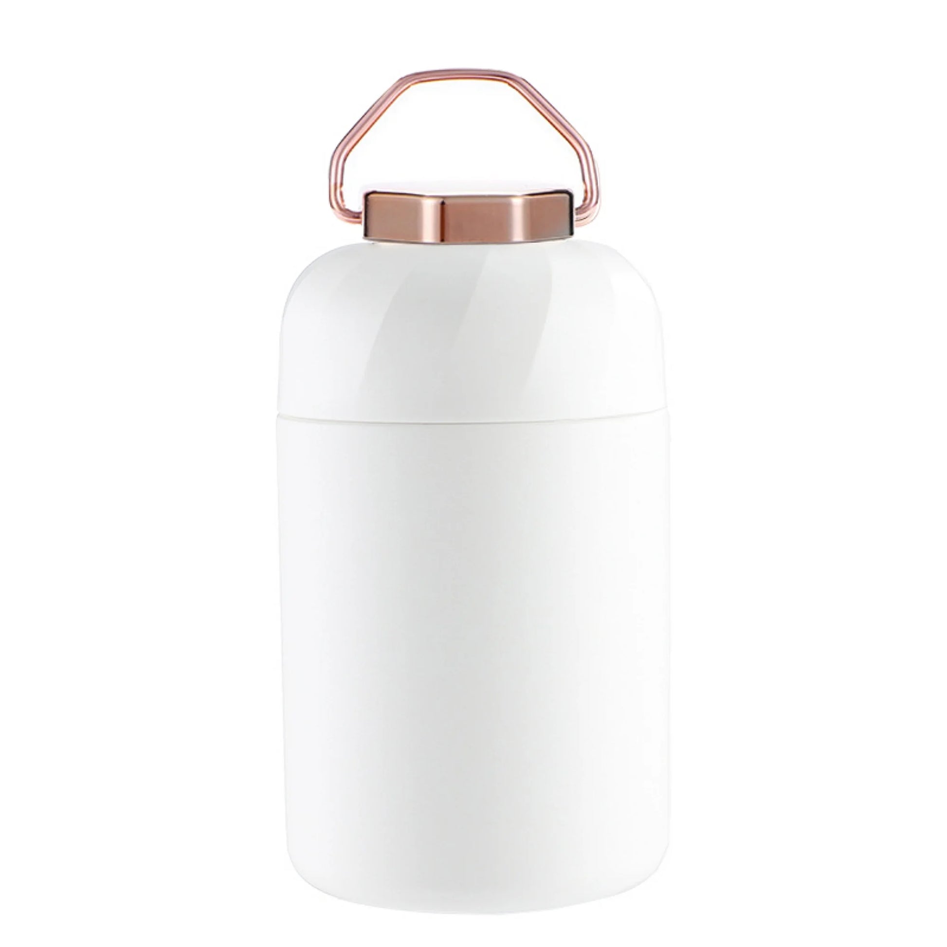 20 Oz White Stainless Steel Insulated Thermos