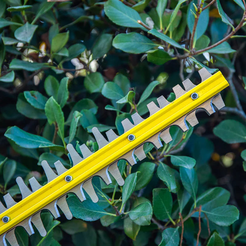 Gen4 40-Volt 24-In Battery Hedge Trimmer 2.0 Ah Battery Included , Charger Included