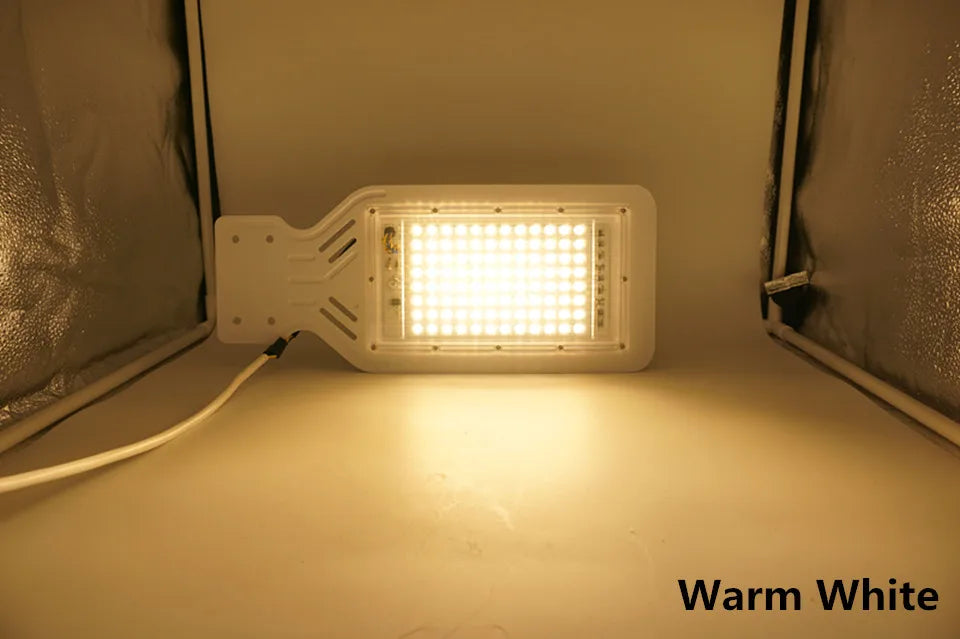 LED Street Lamp 100W AC 110V 220V 230V 240V Outdoor Floodlight Spotlight IP65 Waterproof Garden Road Street Pathway Pole Lights