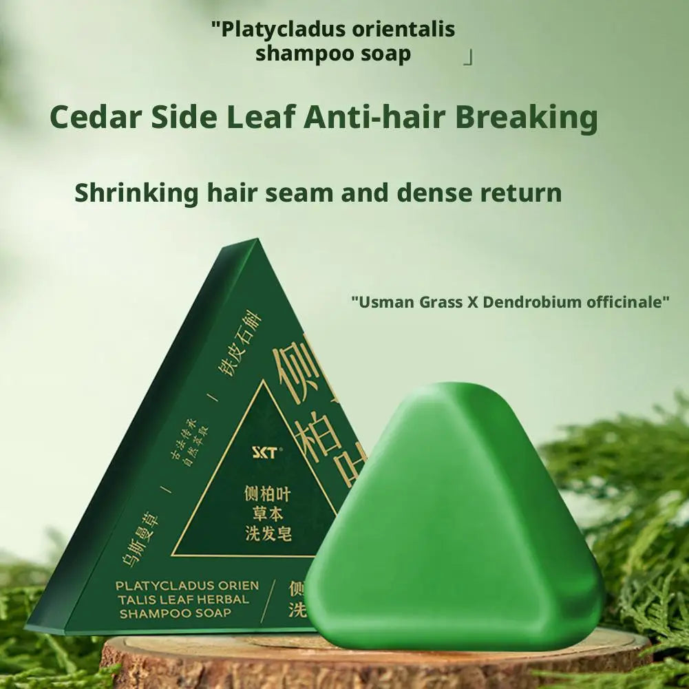 Shampoo Bar Platycladus Orientalis Natural Herbal Soap For Hair Loss Controls Oil Strengthens Root Shampoo Soap Hair Accessories
