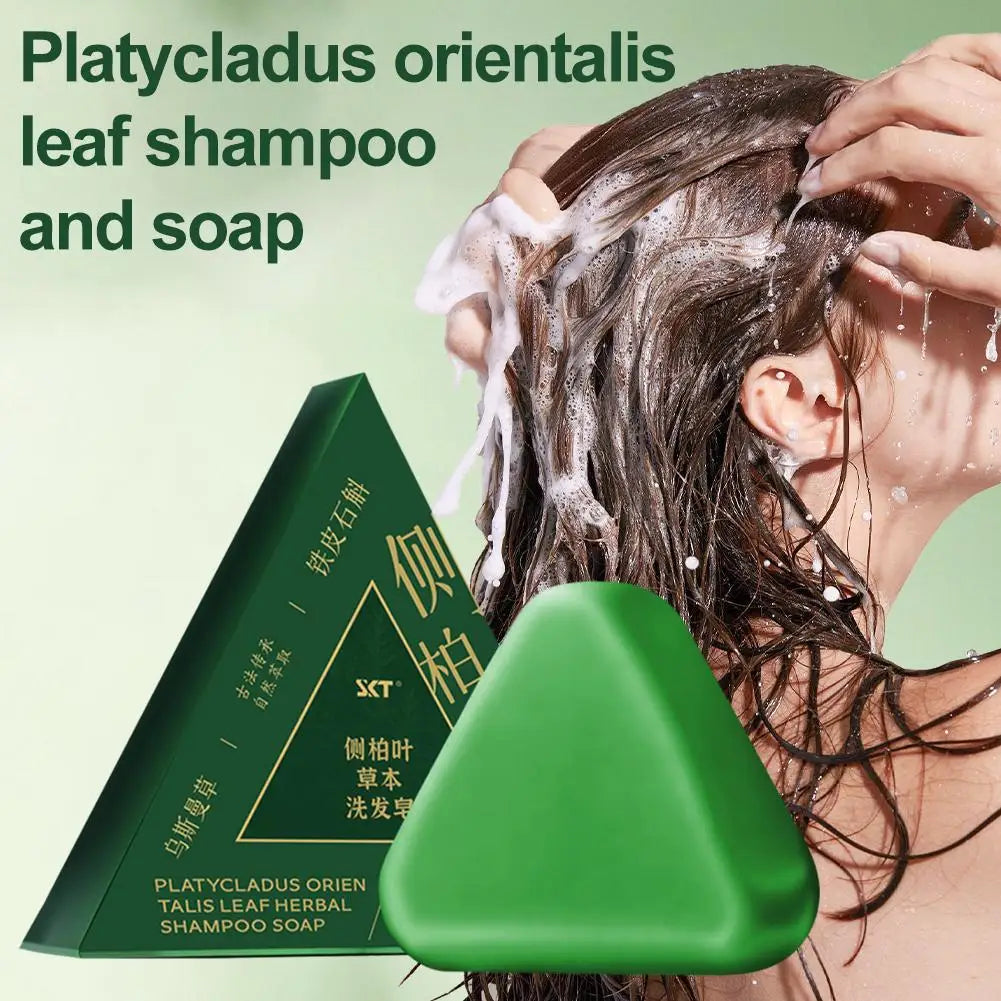 Shampoo Bar Platycladus Orientalis Natural Herbal Soap For Hair Loss Controls Oil Strengthens Root Shampoo Soap Hair Accessories