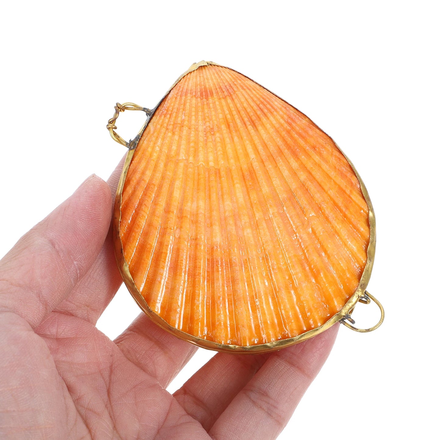 Shell Storage Box Seashells Boxes Metal Small Accessory Organizers