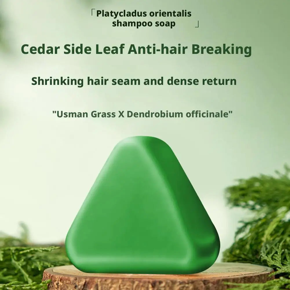 Shampoo Bar Platycladus Orientalis Natural Herbal Soap For Hair Loss Controls Oil Strengthens Root Shampoo Soap Hair Accessories