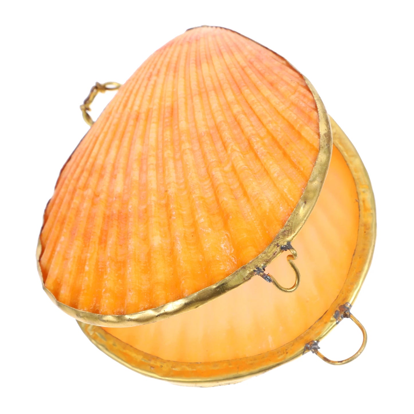Shell Storage Box Seashells Boxes Metal Small Accessory Organizers