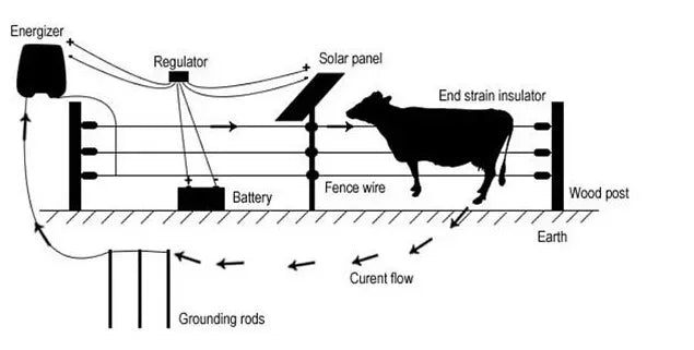 10km Farm Electric Poultry Equipments Portable Power Solar Panel Electric Fence Energizer Metal Garden Fence Fence Accessories