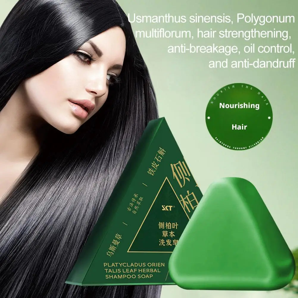 Shampoo Bar Platycladus Orientalis Natural Herbal Soap For Hair Loss Controls Oil Strengthens Root Shampoo Soap Hair Accessories