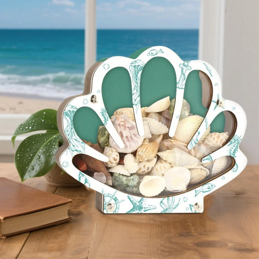 Empty Box Shells Storage Container Decorative Organizer Jewelry Beads Trinket Clear Gift Creative Desktop Shells Display Box