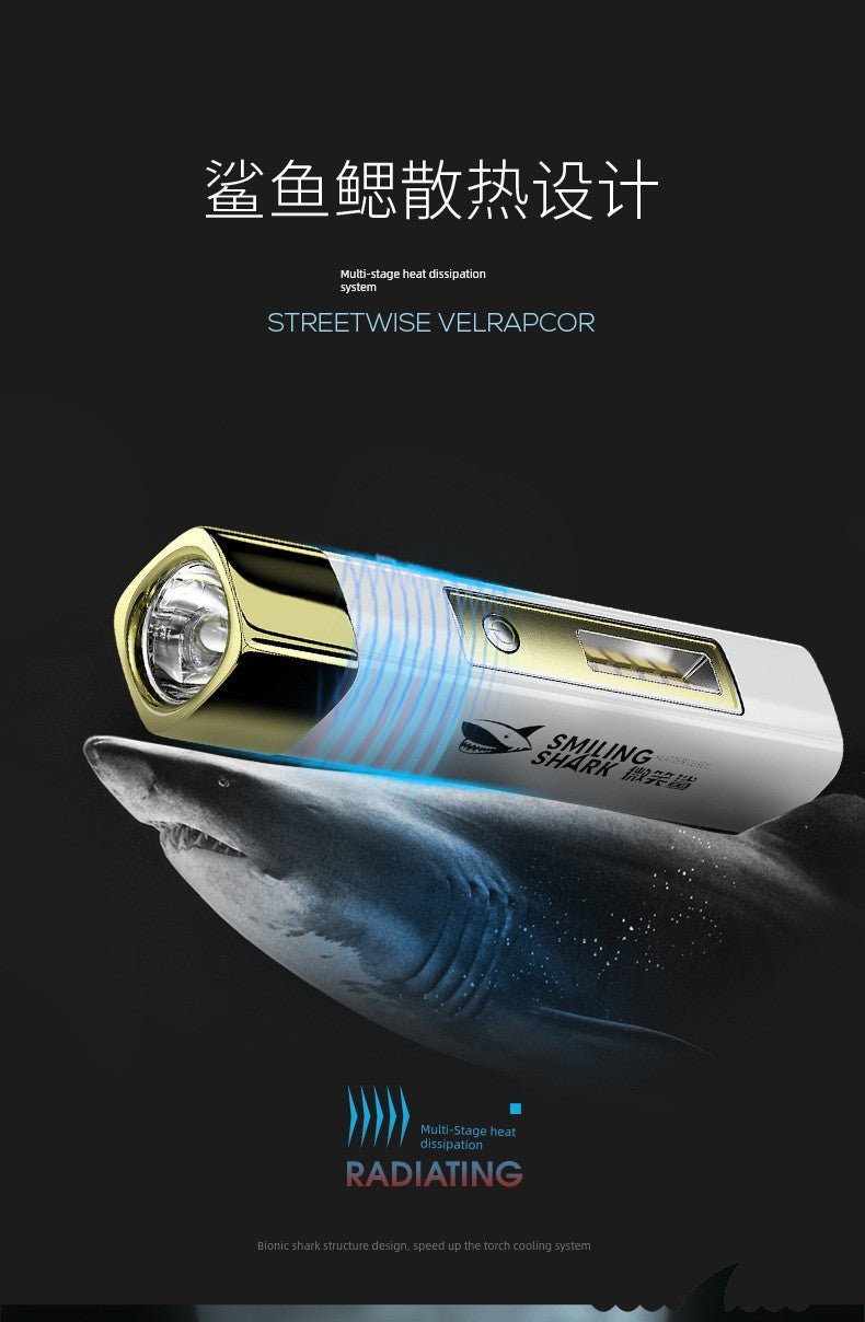 Power Torch Rechargeable Power Bank Floodspotlight Remote Outdoor Portable and Versatile Waterproof Ultra-Long Life Battery