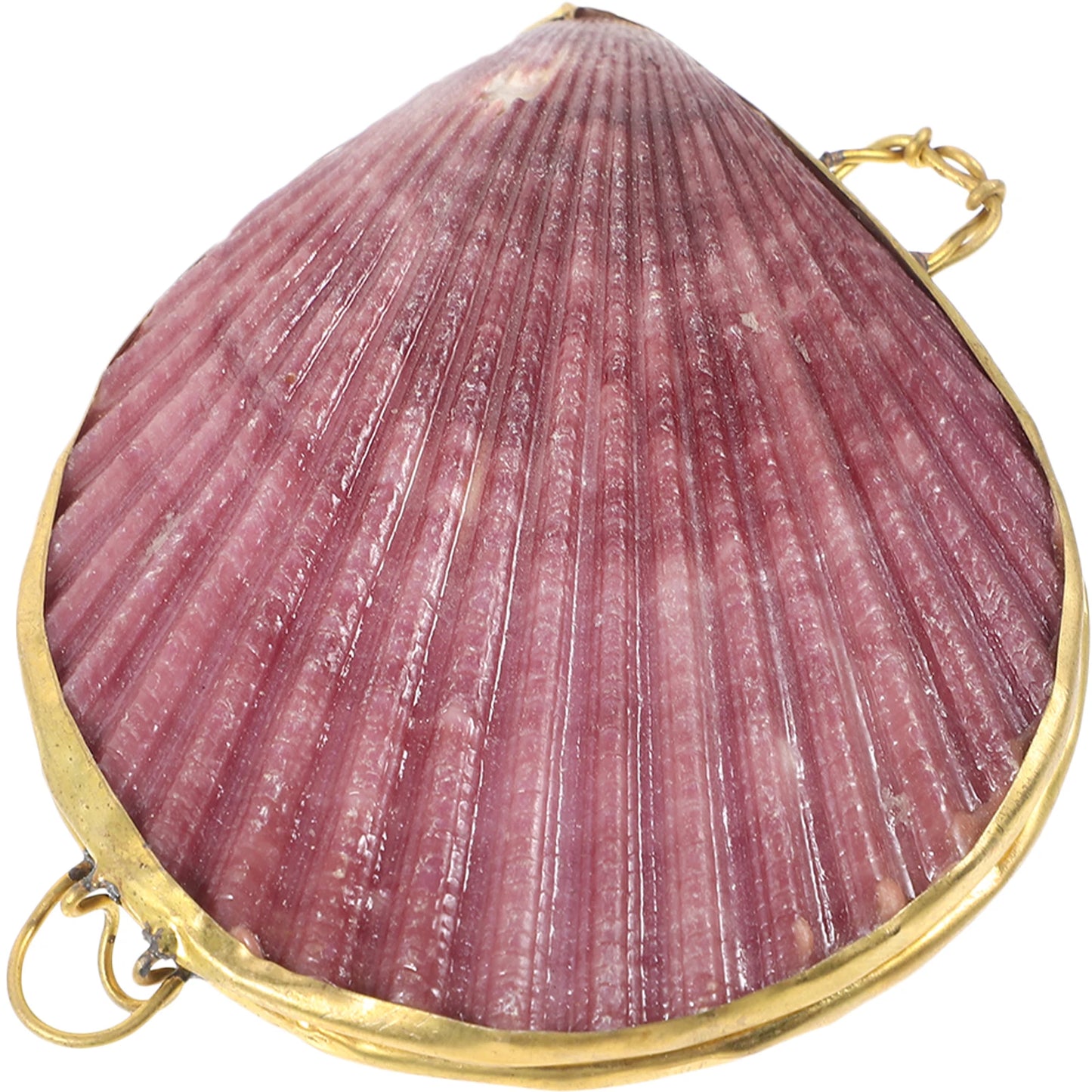Shell Storage Box Seashells Boxes Metal Small Accessory Organizers