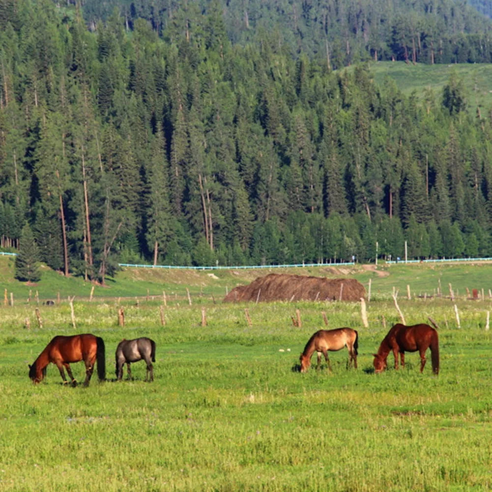 200m/500m Roll Electric Fence Rope Red White Polywire with Steel Poly Rope for Horse Animal Fencing Ultra Low Resistance Wire