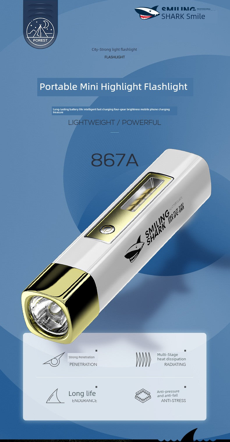 Power Torch Rechargeable Power Bank Floodspotlight Remote Outdoor Portable and Versatile Waterproof Ultra-Long Life Battery