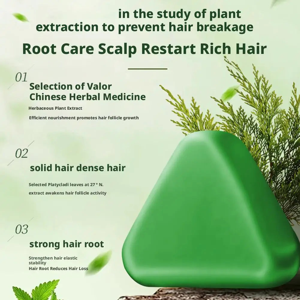 Shampoo Bar Platycladus Orientalis Natural Herbal Soap For Hair Loss Controls Oil Strengthens Root Shampoo Soap Hair Accessories