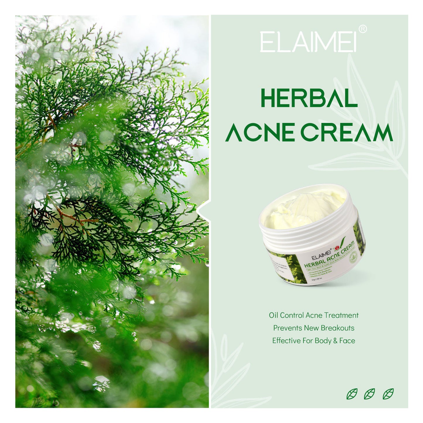 Organic Herbal Extract Anti Acne Treatment Face Cream Remove Pimple Moisturizing Whitening Skin Care Facial Cream