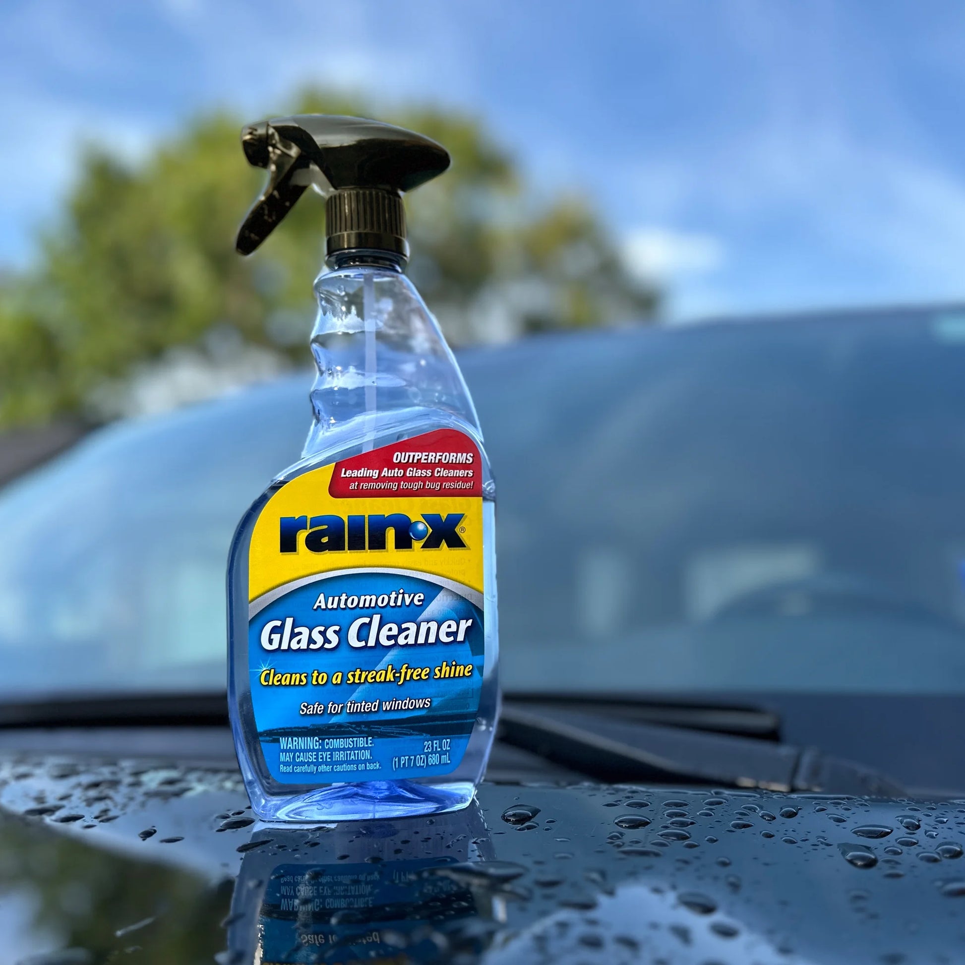 Glass Cleaner - 23Oz - 630018W