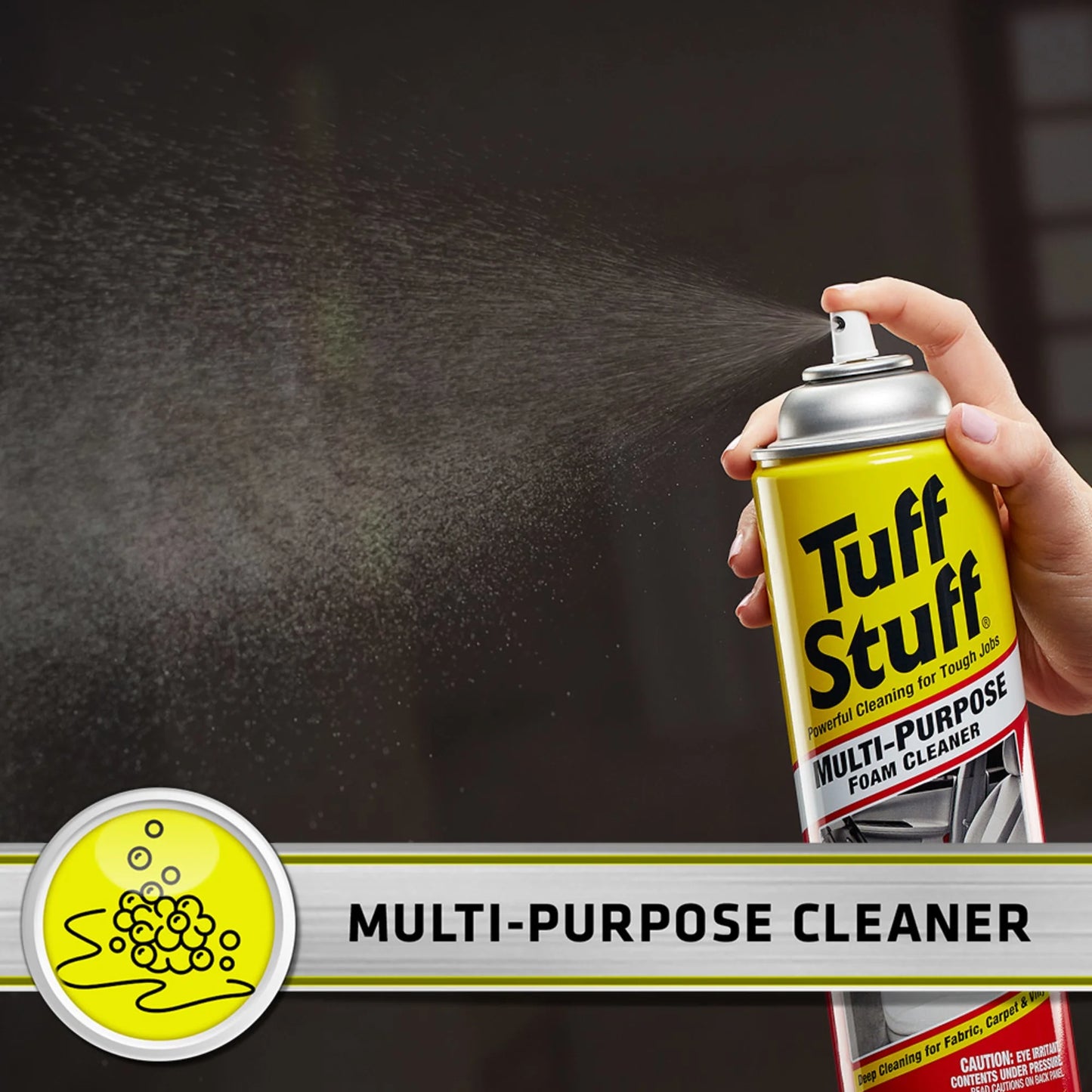 Multi Purpose Foam Cleaner for Car Detailing, Holiday Cleaning, Winter Home and Auto Messes, 22 Oz