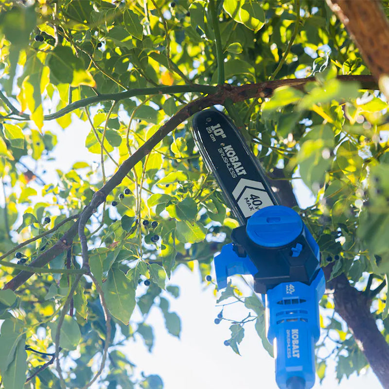 Gen4 40-Volt 10-In 2.0 Ah Battery Pole Saw Battery Included , Charger Included