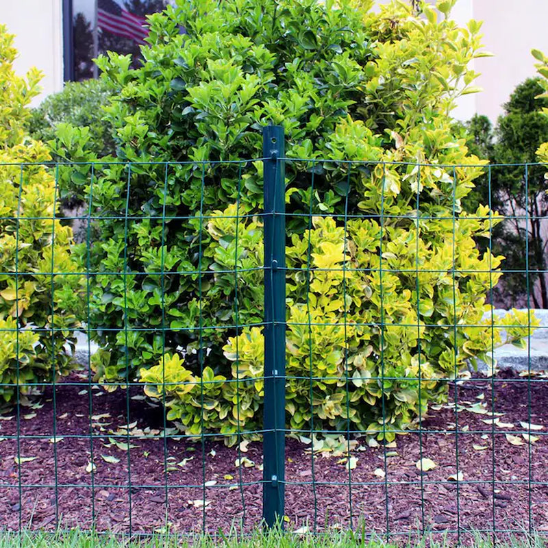 50-Ft X 2-Ft Green PVC Coated Steel Welded Wire Rolled Fencing 2-In X 3-In - Mesh Size