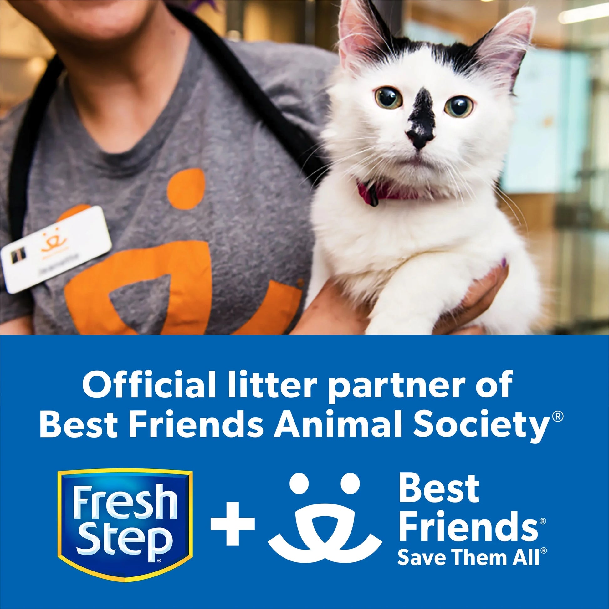 Outstretch Long Lasting Clumping Litter Simply Unscented, 19 Lb. Box