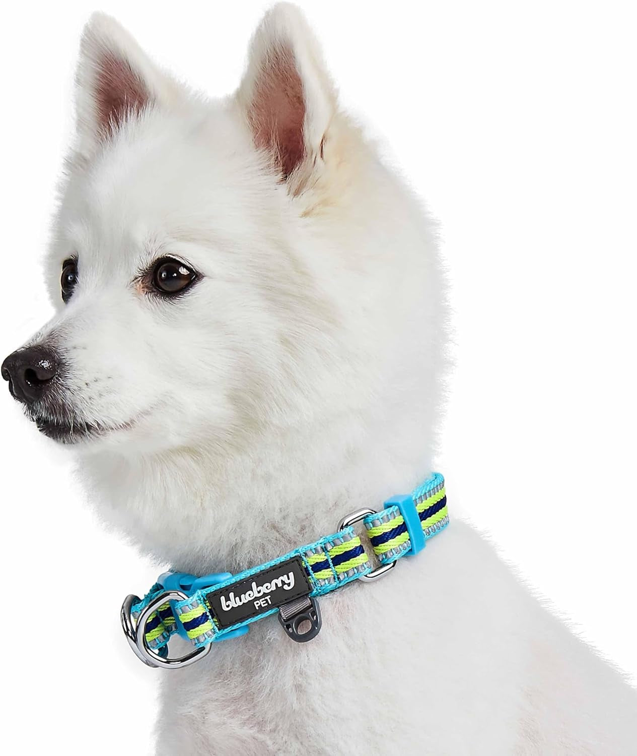 Safety Dog Collar with Dual D-Rings | 3M Reflective Multi-Colored Adjustable Collar in Blue and Yellow | Soft Nylon Dog Collar for Active Large Dogs
