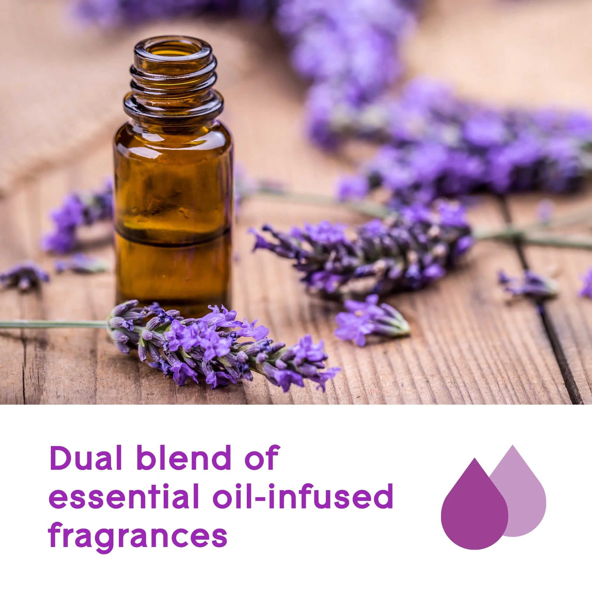 Aromatherapy Plugins Air Freshener Refills, Choose Calm Scent with Notes of Lavender & Sandalwood, Fragrance Infused with Essential Oils, 2 X 0.67 Oz (19.8 Ml)