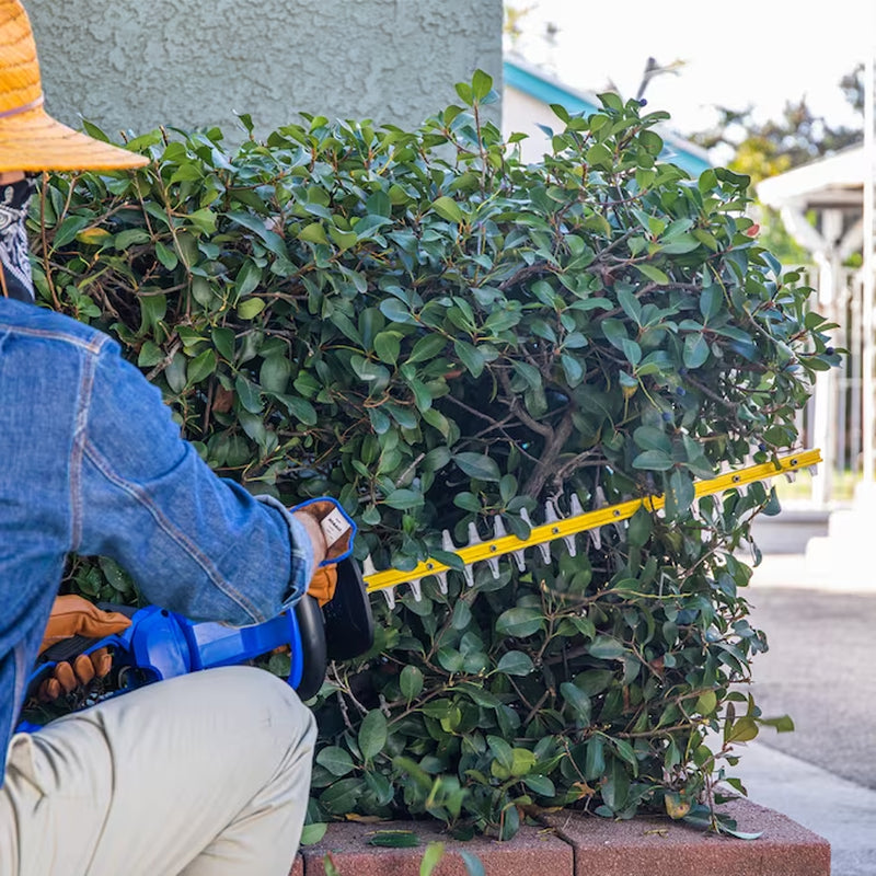 Gen4 40-Volt 24-In Battery Hedge Trimmer 2.0 Ah Battery Included , Charger Included