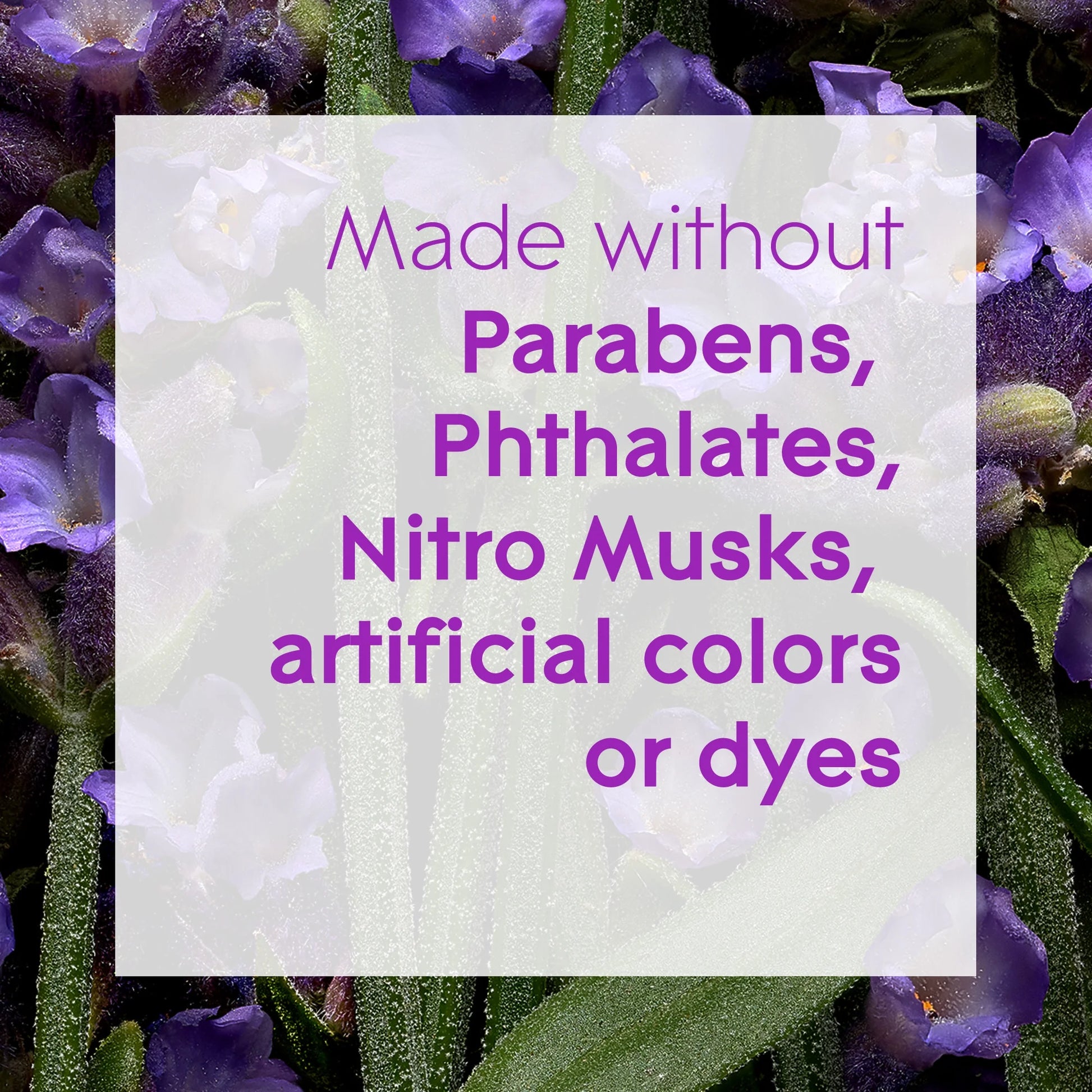 Aromatherapy Plugins Air Freshener Refills, Choose Calm Scent with Notes of Lavender & Sandalwood, Fragrance Infused with Essential Oils, 5 X 0.67 Oz (19.8 Ml)