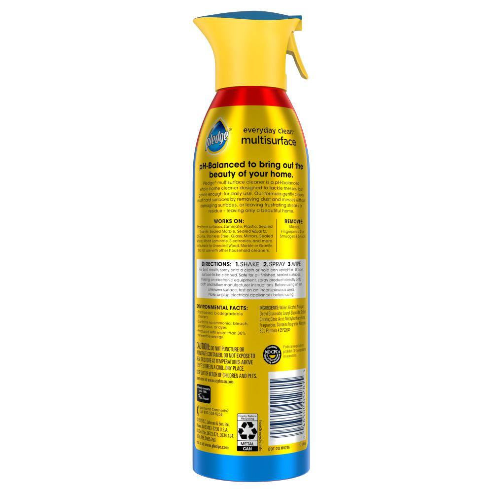 14.2 Oz. Rainshower Scent All-Purpose Multi Surface Cleaner Spray (4-Pack)