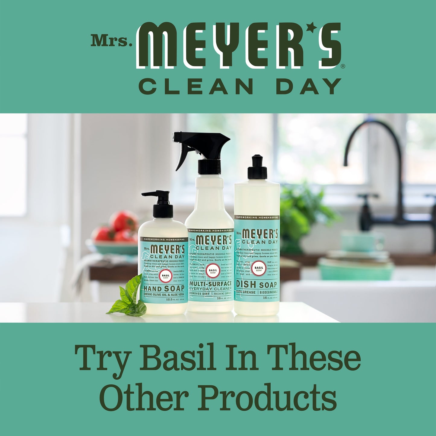 Mrs. Meyer’S Clean Day Liquid Dish Soap, Basil, 16 Ounce Bottle (Pack of 3)