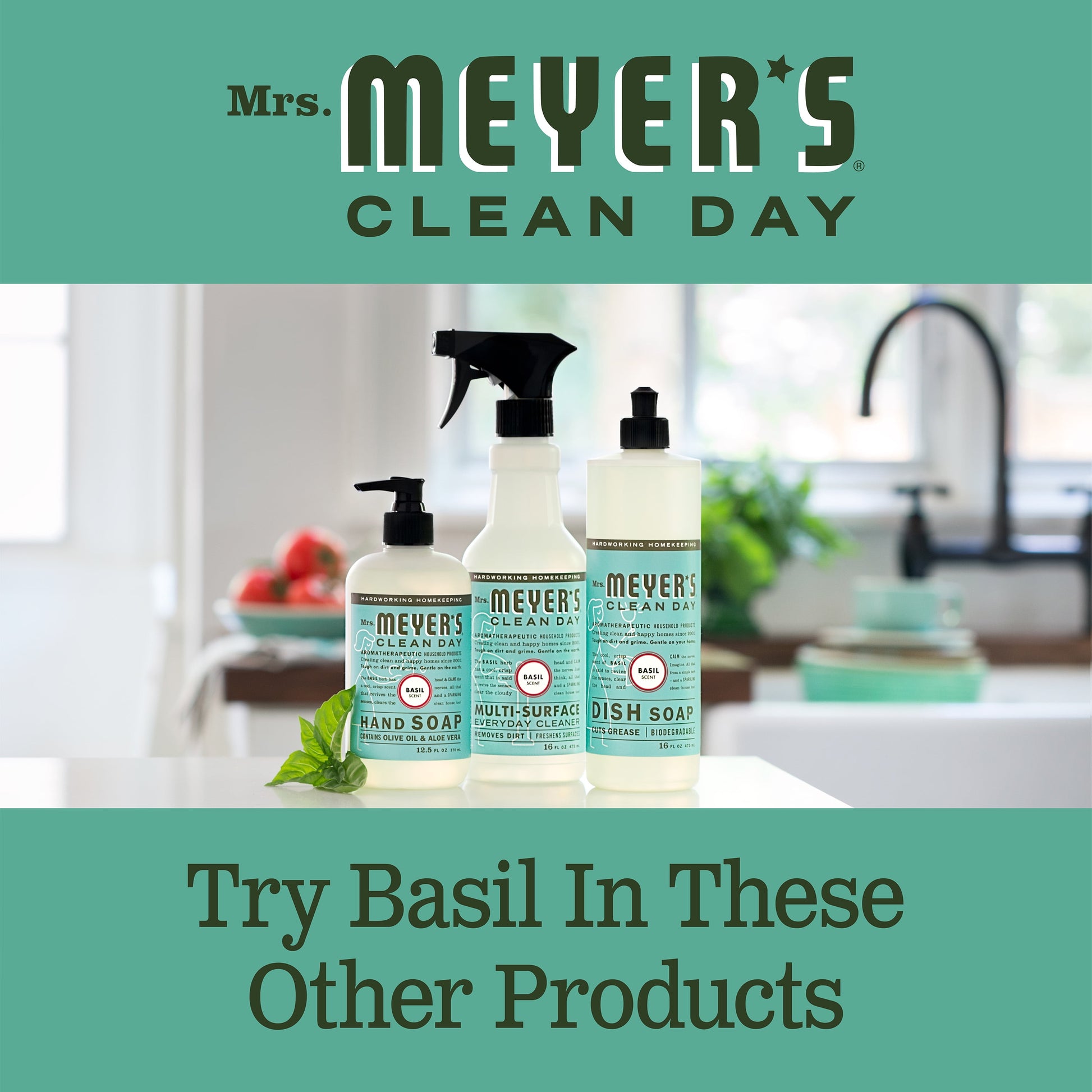Mrs. Meyer’S Clean Day Liquid Dish Soap, Basil, 16 Ounce Bottle (Pack of 3)